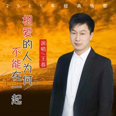 相爱的人为何不能在一起 (DJ版)