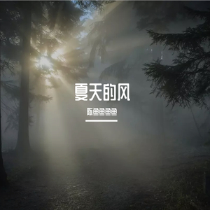 夏天的风