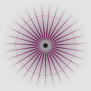 The Singularpoint