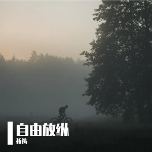 剑影烟波