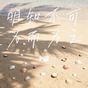 明知不可为而为之
