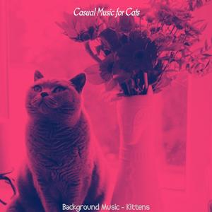 Chilled (Training Cats)