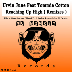 Reaching Up High (Mauri Fly Remix)