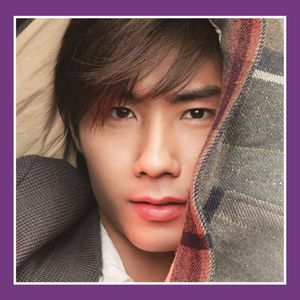 あなたのすべてを