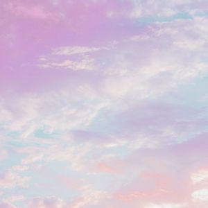 花开时见一面吧！