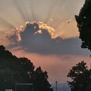 SAD(翻自姜云升)