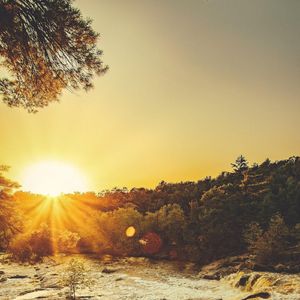 晨（轻音乐治愈心情钢琴曲）