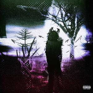 Reason (feat. glorifyvine)