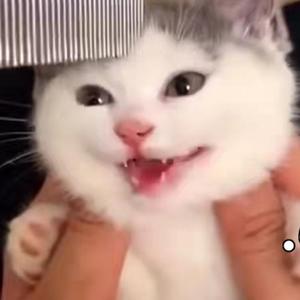 男孩别哭-风晴郁冷（翻自 海龟先生）