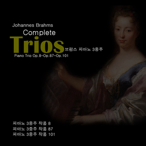 Piano Trio No.3 in C minor Op.101 2.Presto non assai (브람스：피아노 3중주 제3번 C장조 작품 101 제2악장 프레스토 논 아사이)