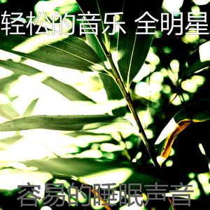 一尘不染性质印象数