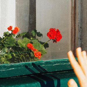 那时窗外开满花