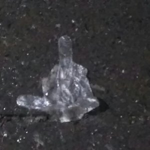 叫嚣（Prod.Daga）