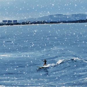 海的冬天在南边