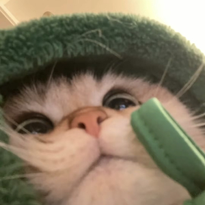 那曾经吹过的风