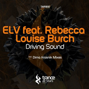 Driving Sound (Original Mix)