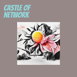 Castle of Network