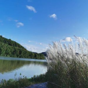 江湖悠梦漫流光