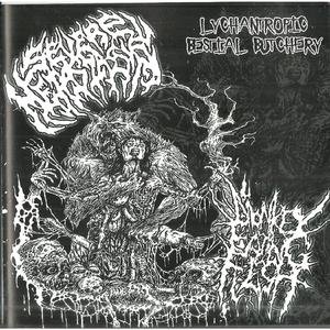 Masticating The BirdBrain