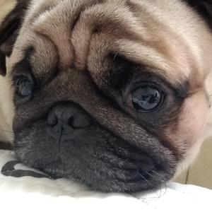 我把你弄丢了【Prod By. PUNISHME】