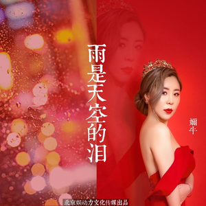 雨是天空的泪 (DJ版)