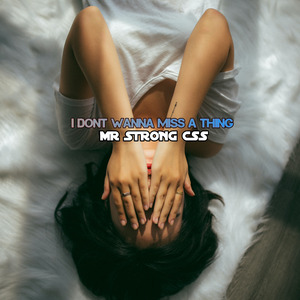 I Dont Wanna Miss a Thing