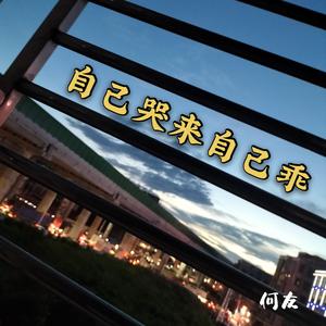 自己哭来自己乖 (DJ何友版)