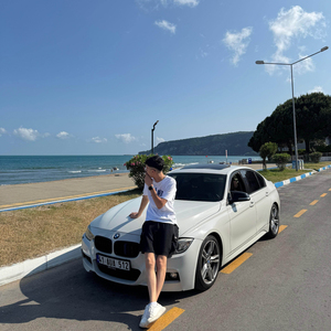 domdom bodrum palmiye