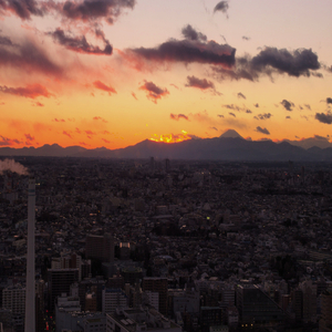 이 거리를 걸어(feat.다무(Damu))