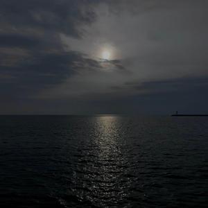 파랑, 파장, 그리고… 파고