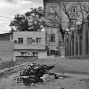 андерграунд (feat. Vince & Ice Kree)