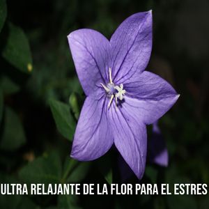 Los incrédulos