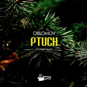 Ptuch (Vladimir D Remix)
