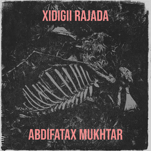 Xidigii Rajada