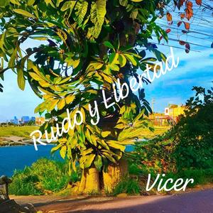 Ruido y Libertad