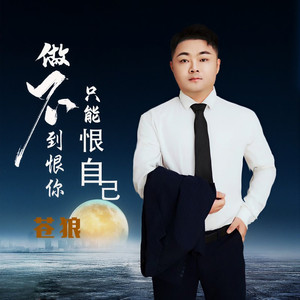 做不到恨你只能恨自己