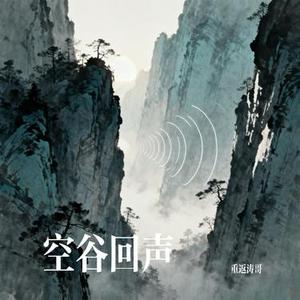 空谷回声