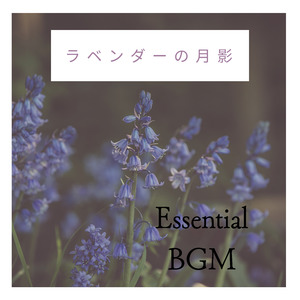 ラベンダーの月影