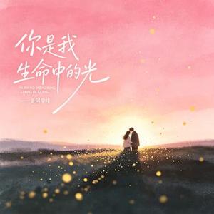 你是我生命中的光
