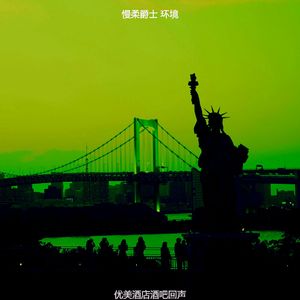 安静的威士忌酒吧声音