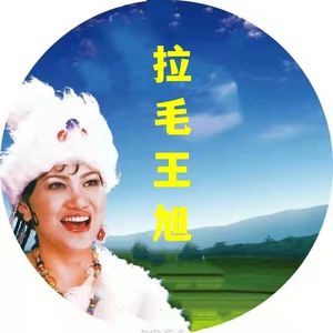 美丽的田园风光-拉毛王旭