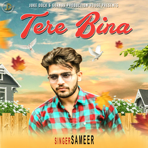 Tere Bina