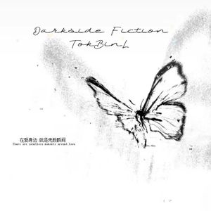 Darkside Fiction - TokBinL Replayed