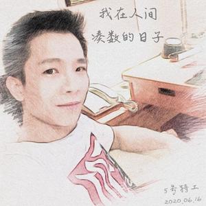 我在人间凑数的日子