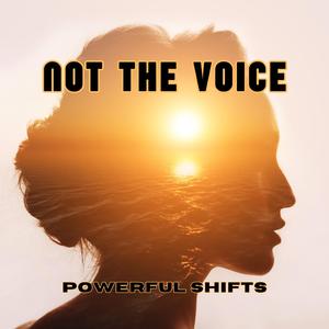 Not the Voice