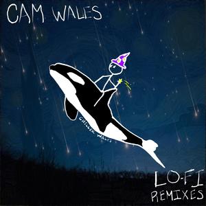 Low-Fi (feat. Cam Wales)