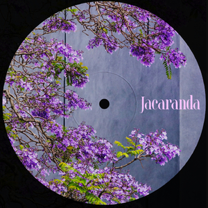 Jacaranda