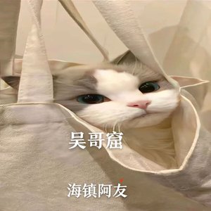 吴哥窟（男生版）