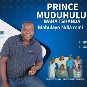 Mabulayo Ndia mini