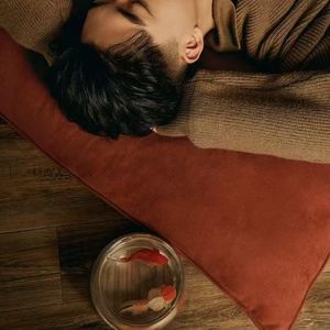 这条小鱼在乎MIX3(1)